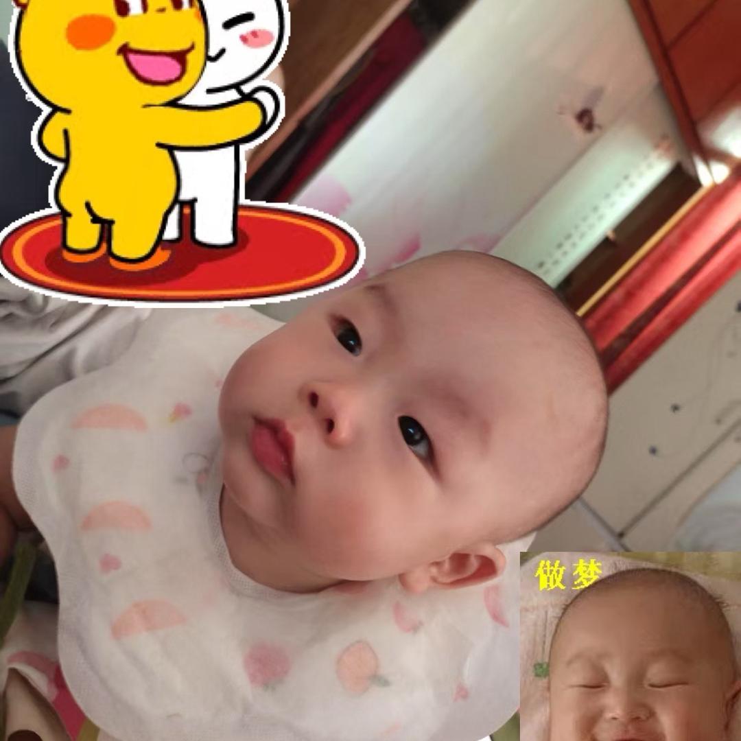 龙崽妈咪