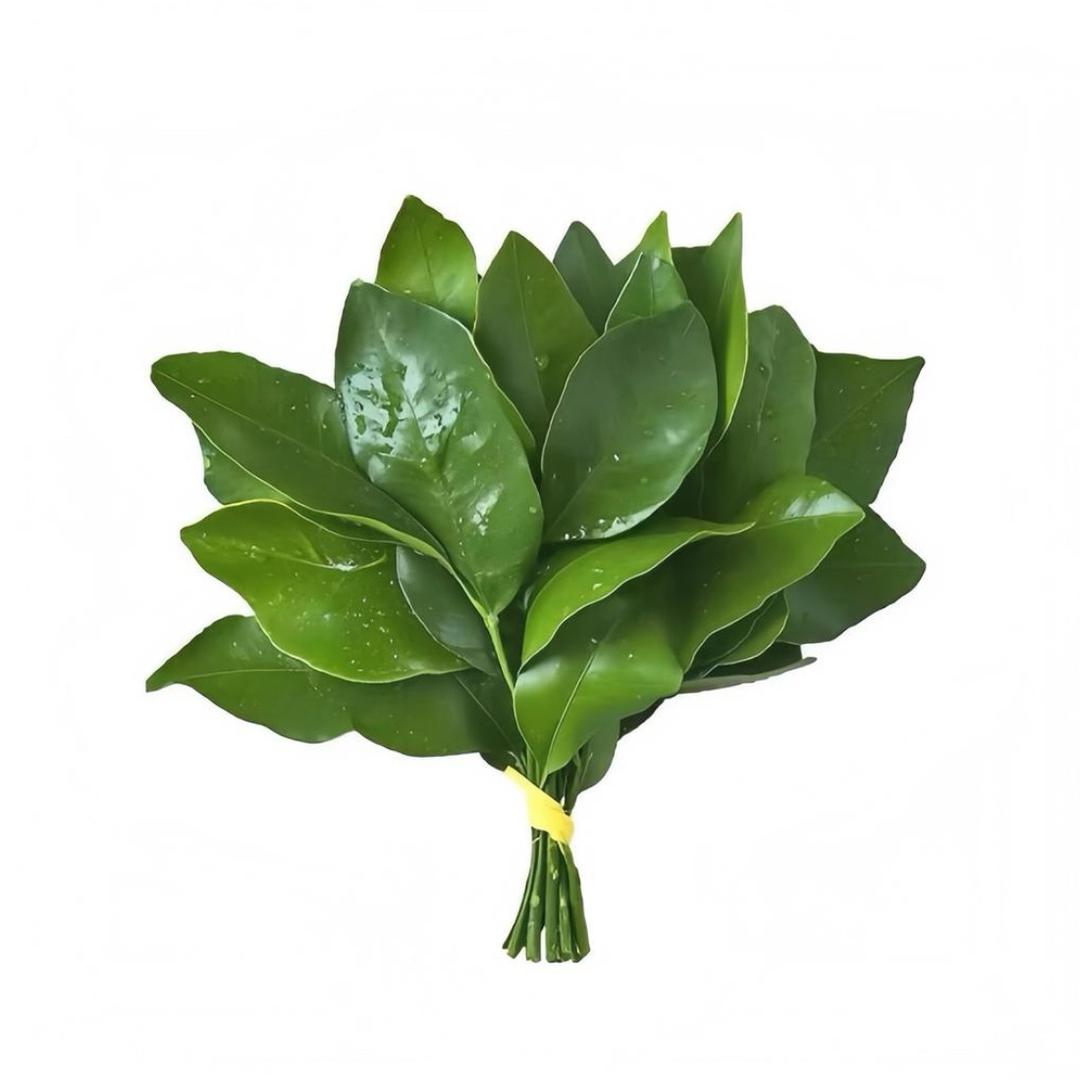 晓远