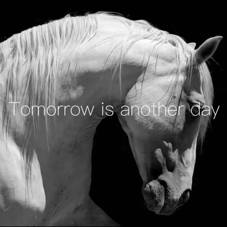 崽崽  ㅤㅤ    ㅤㅤ