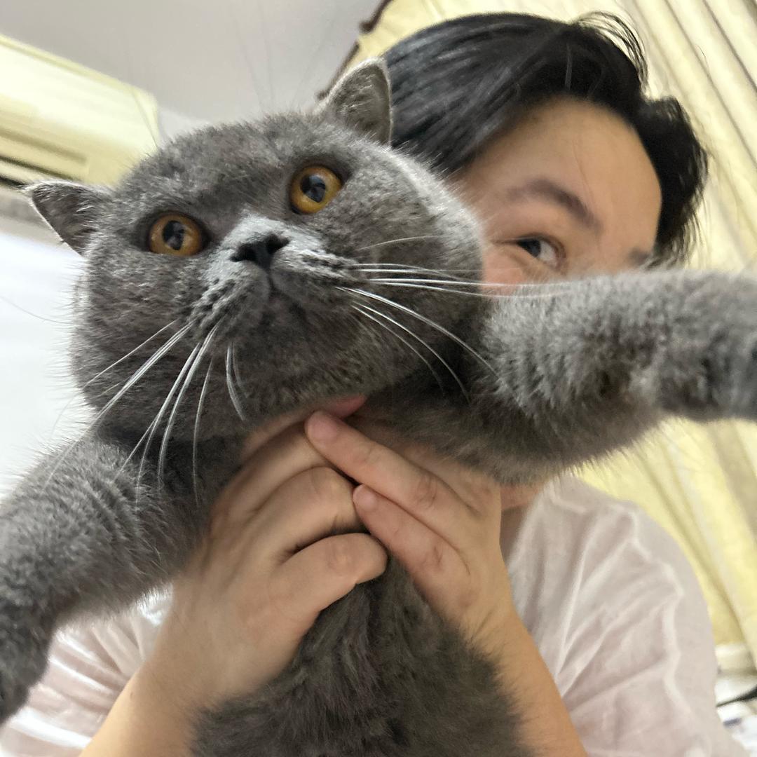 猪猪🐷精品公寓酒店-张辉