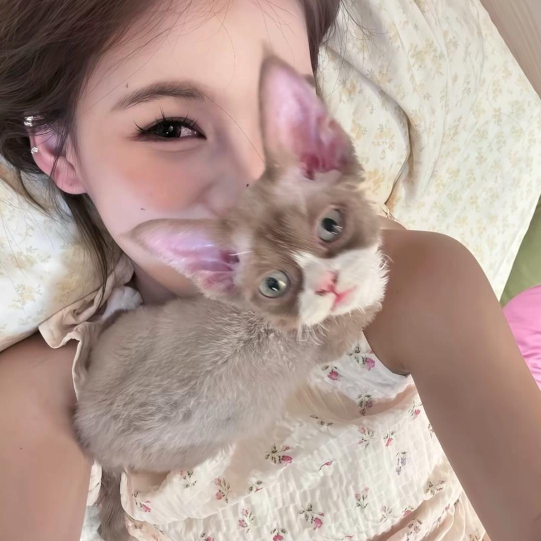 纯恨战士