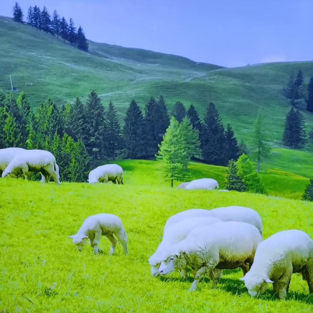 小曲