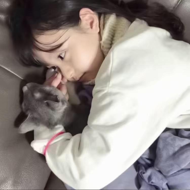 怡-