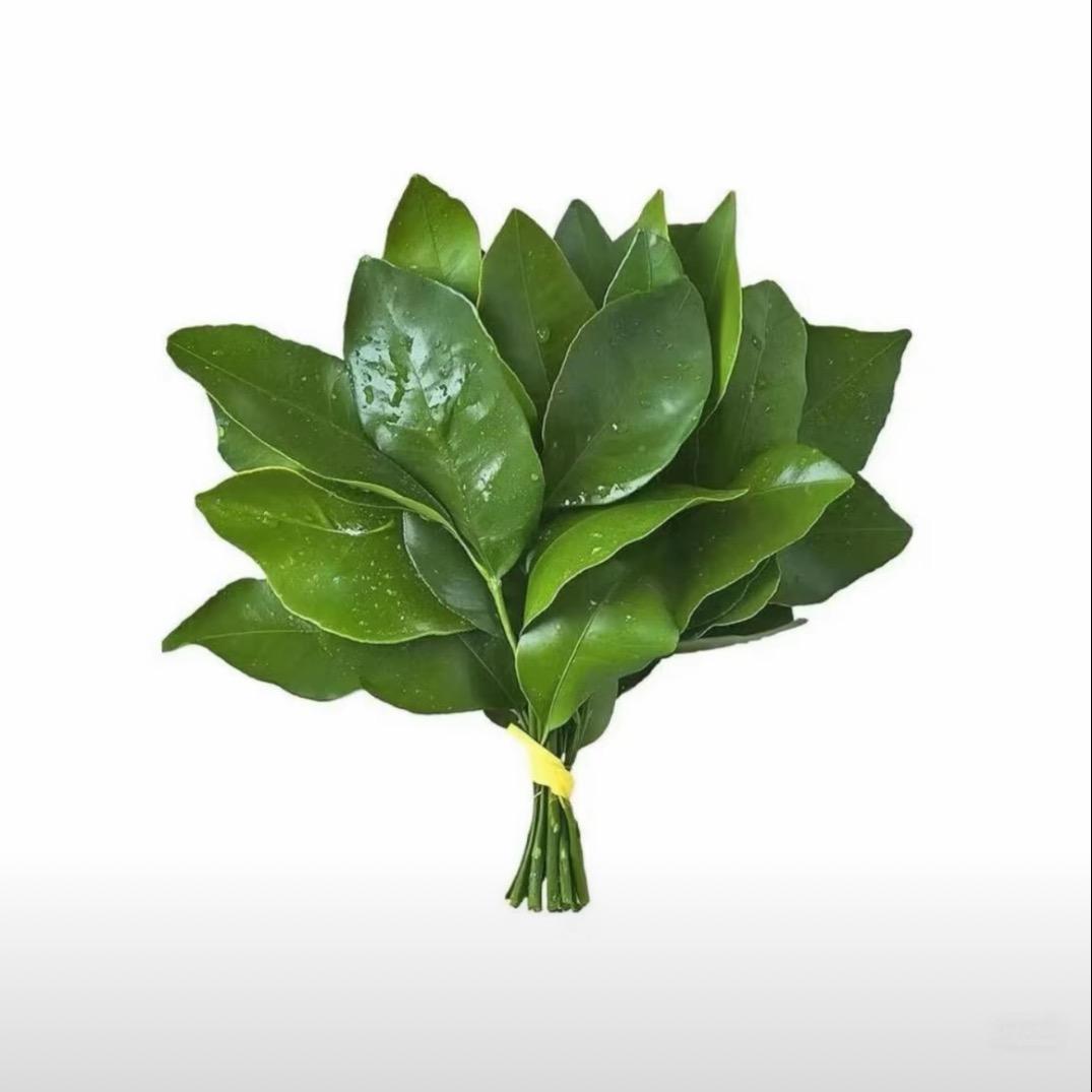 不吃香菜♔