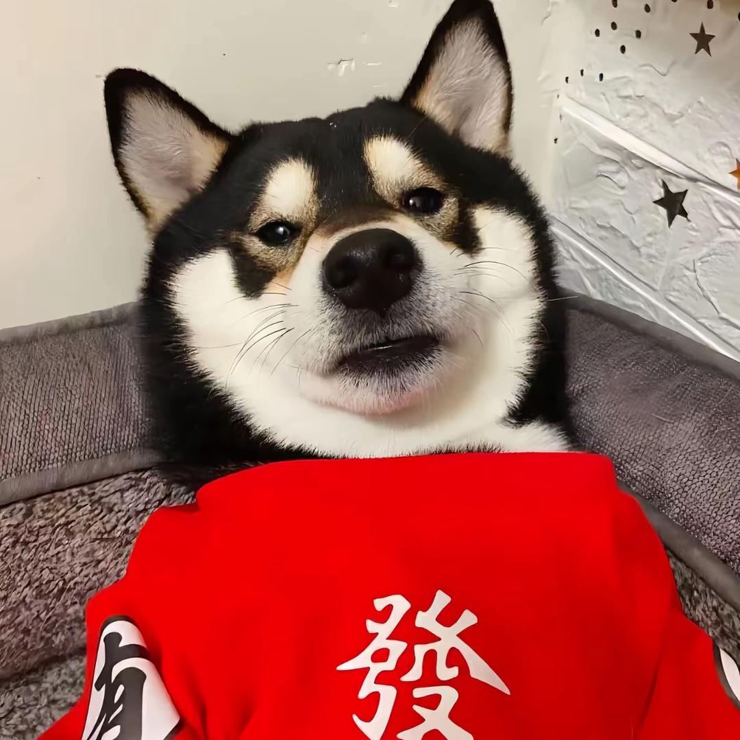 二狗会rapper