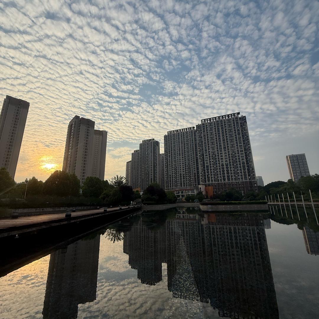 姜小白