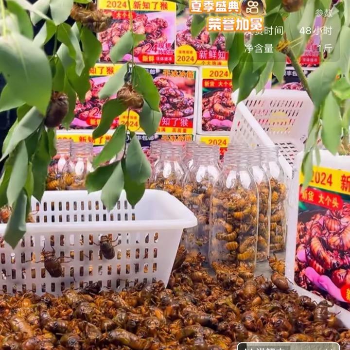 梨园小妹土特产