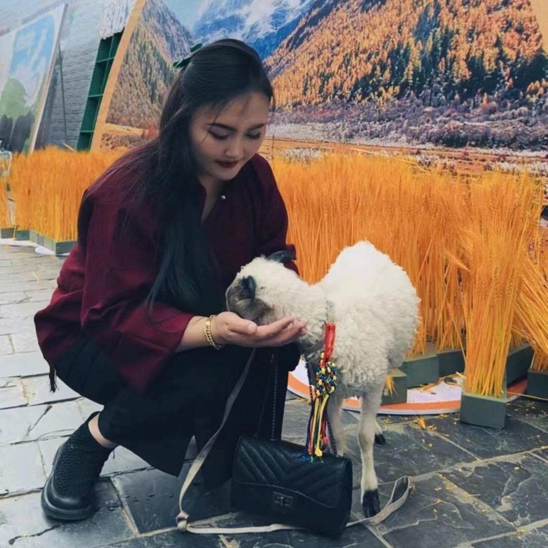 措姆