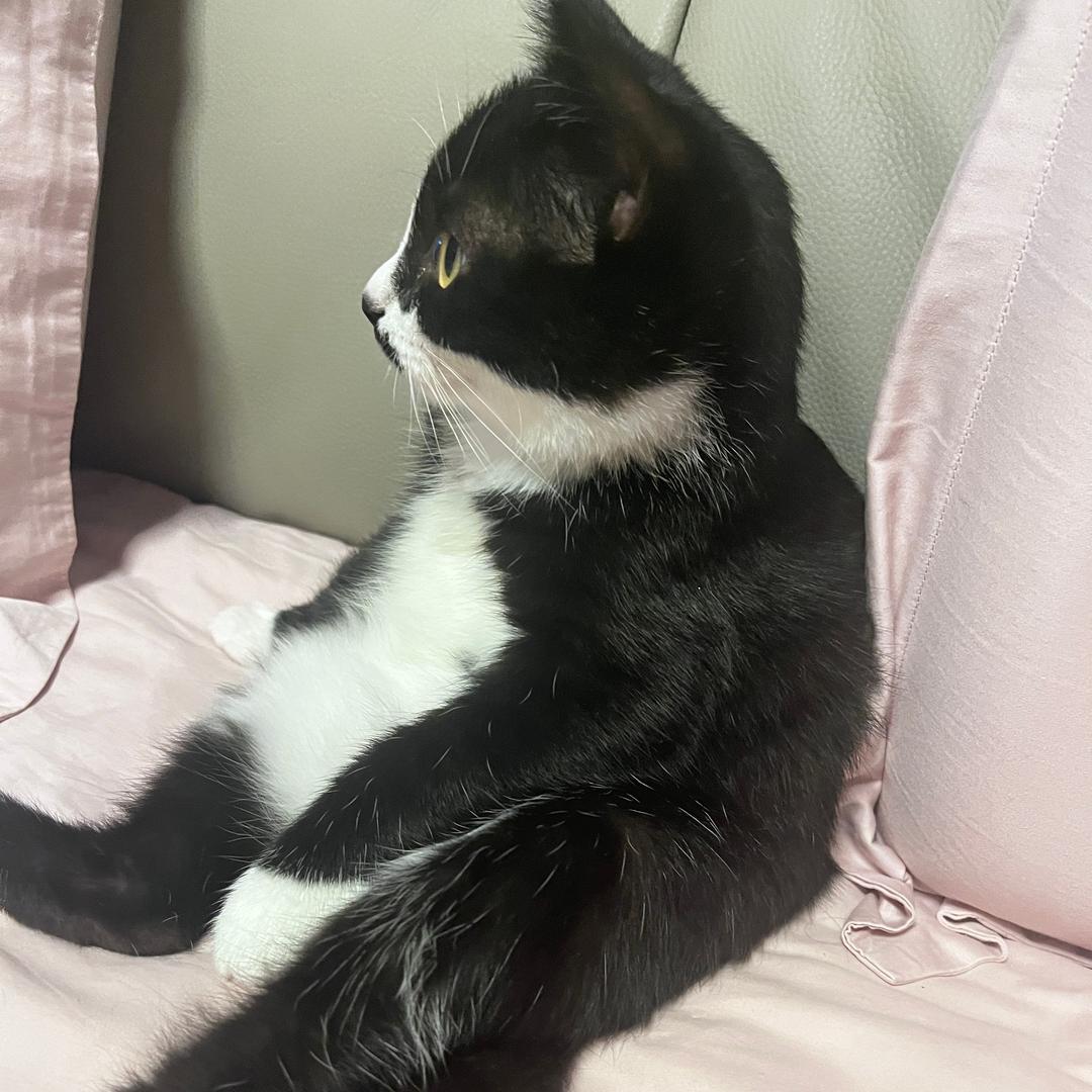 财神爷的小宝贝