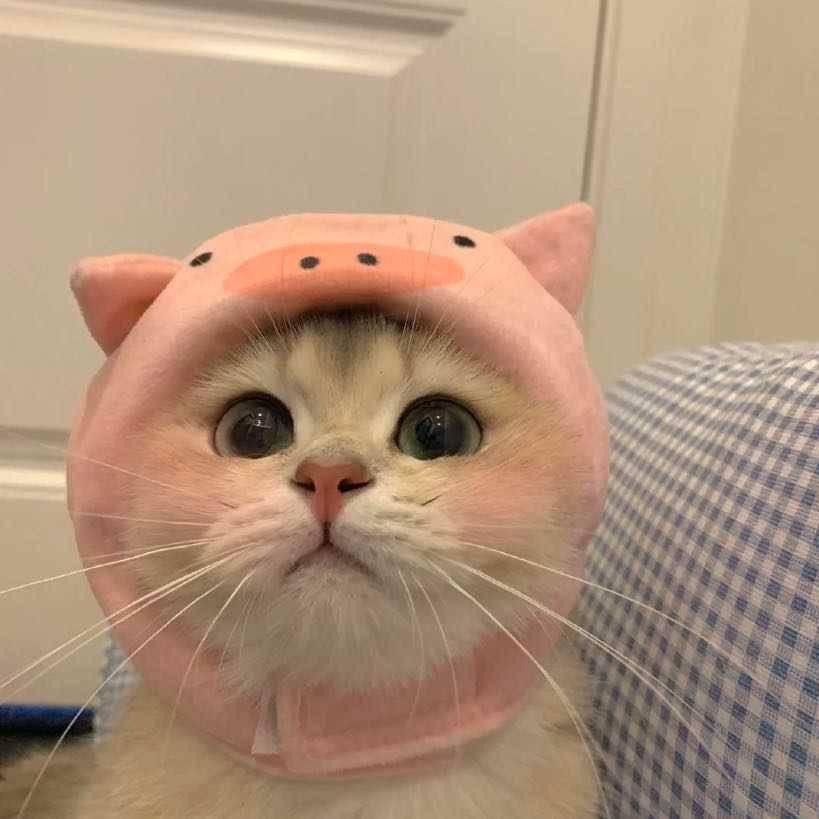 小小熊