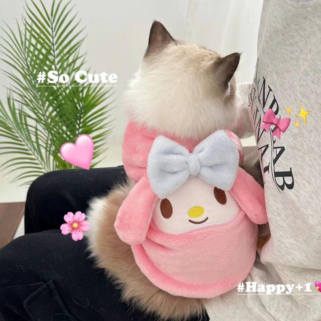 Kitty