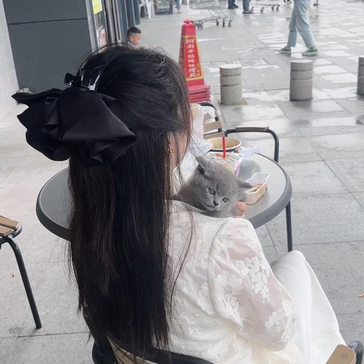 @💕C