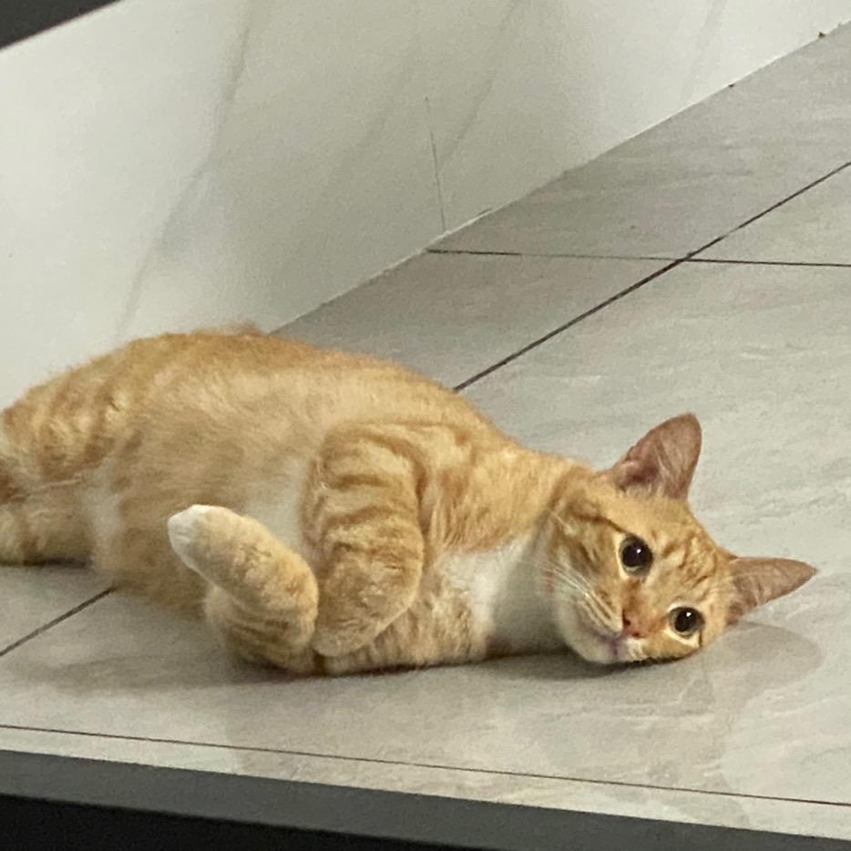 龙达信箱📬