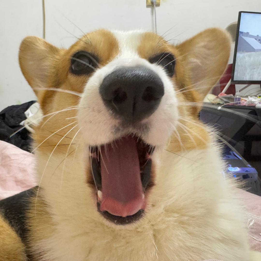 Mc快回家