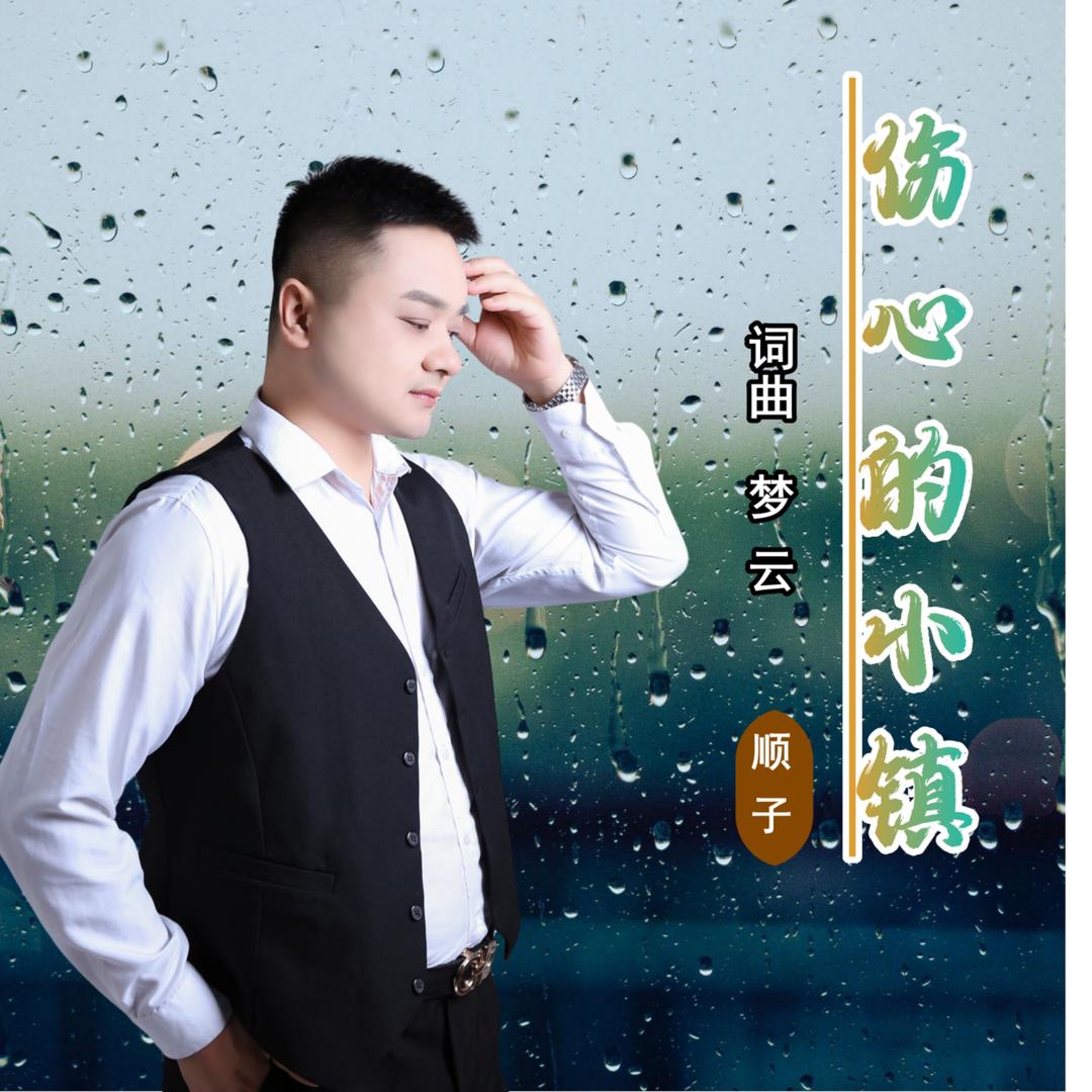 🎸顺子🎙️《伤心的小镇》🎸