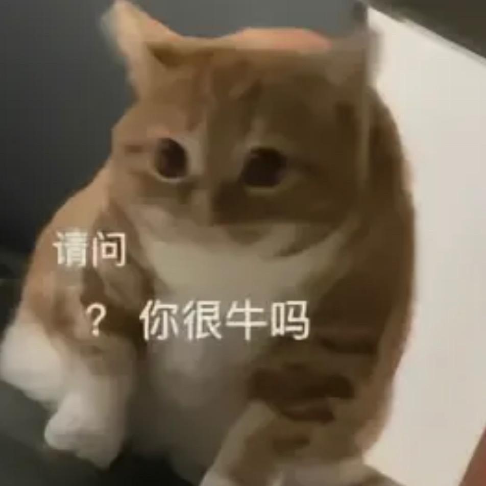 我等会