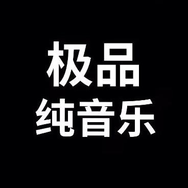极品纯音乐（可够U盘）