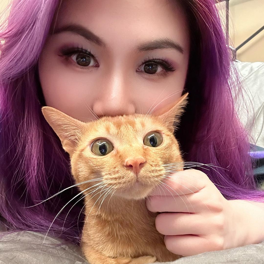 紫猫数理化