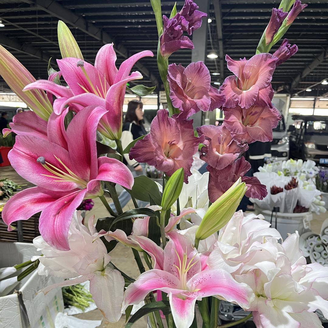 云南昆明斗南花旭鲜花