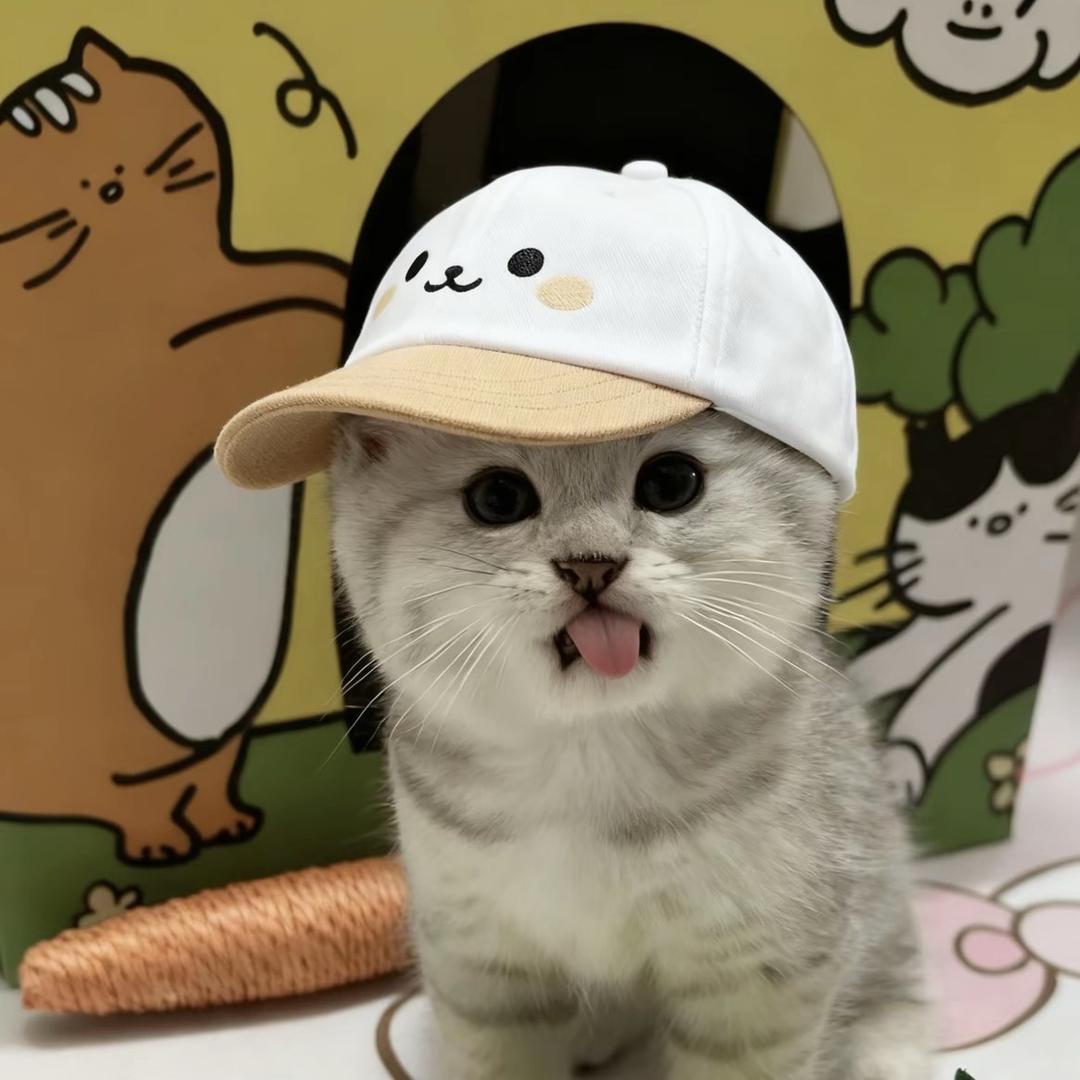 莓烦恼 ᖰ•͈ ₃ •͈ᖳ