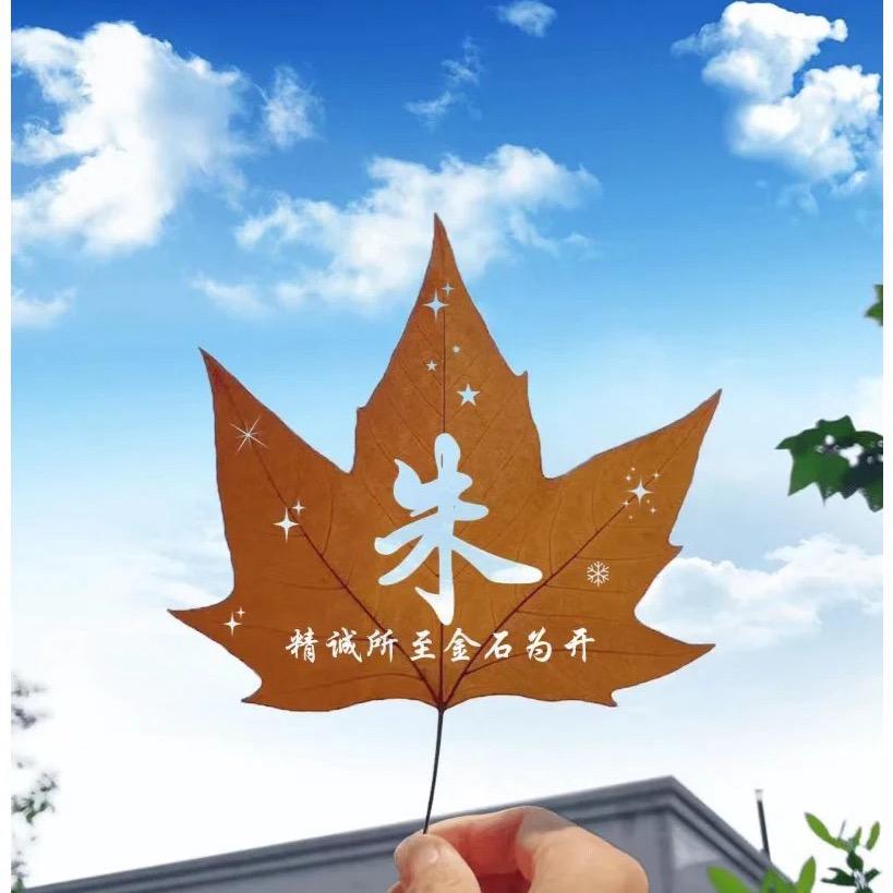 小幸福（蓉儿）