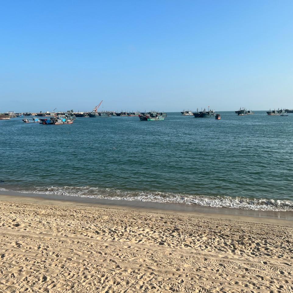 我的海岛朋友