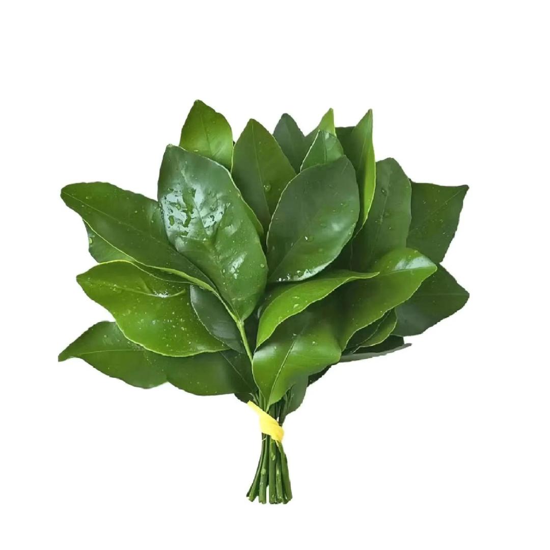 酸菜不吃鱼