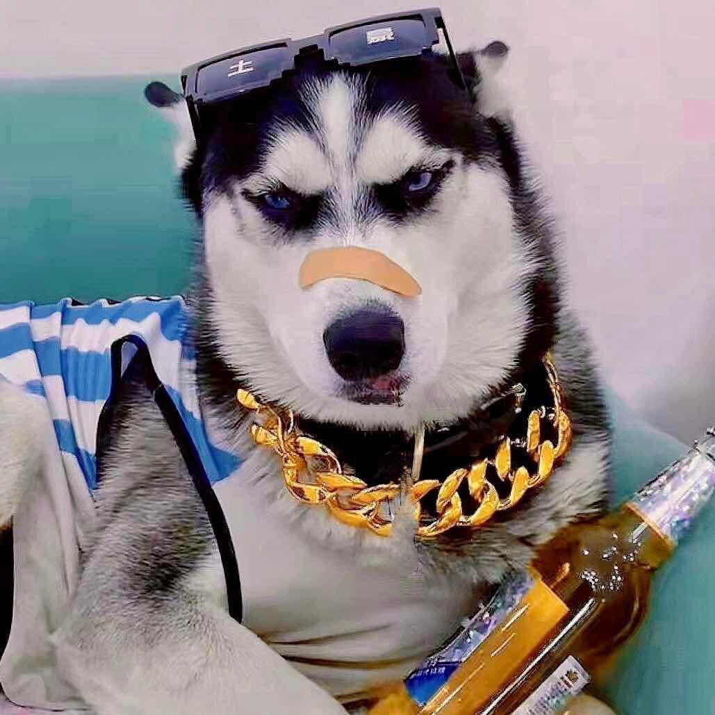 佘怕怕