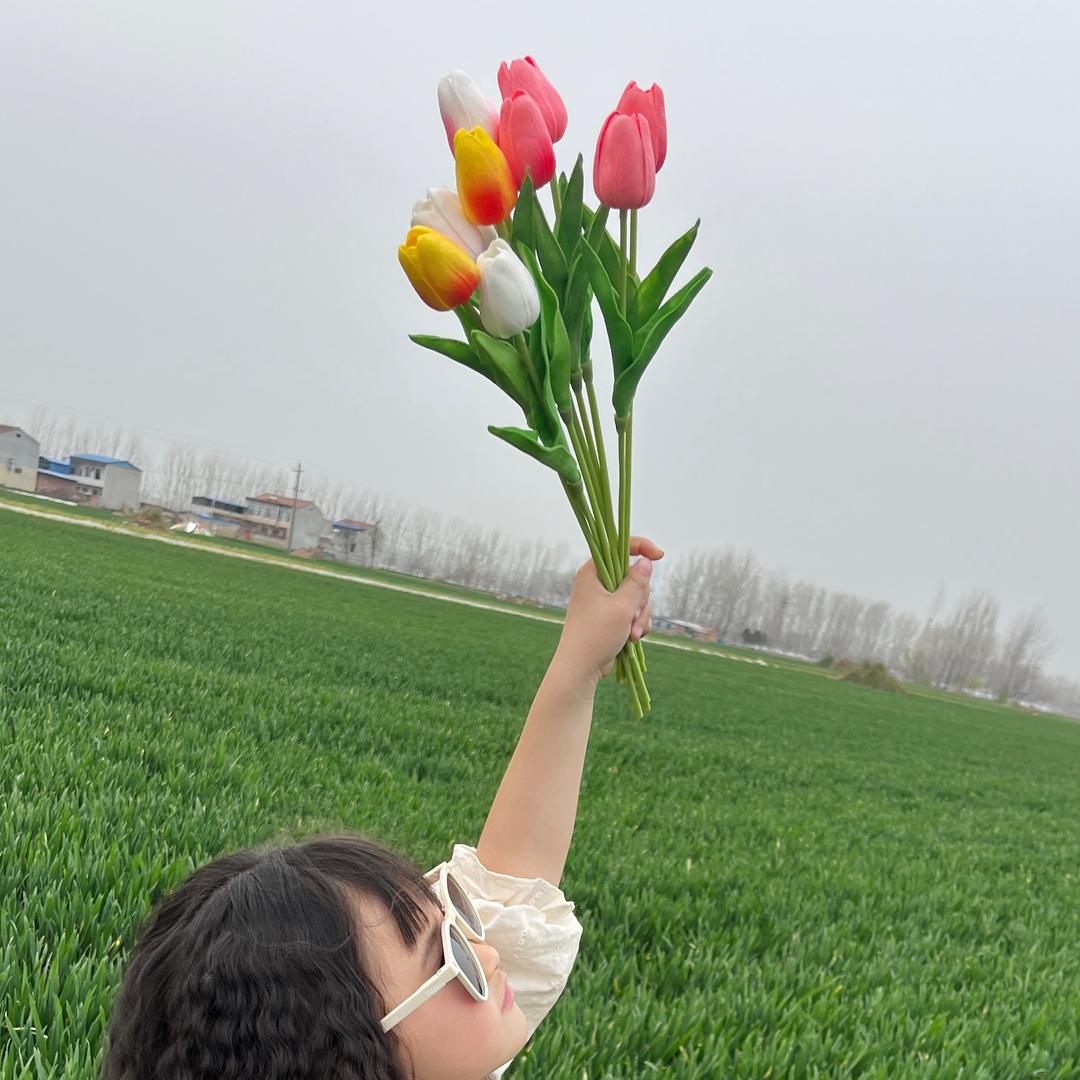 太阳花🌻