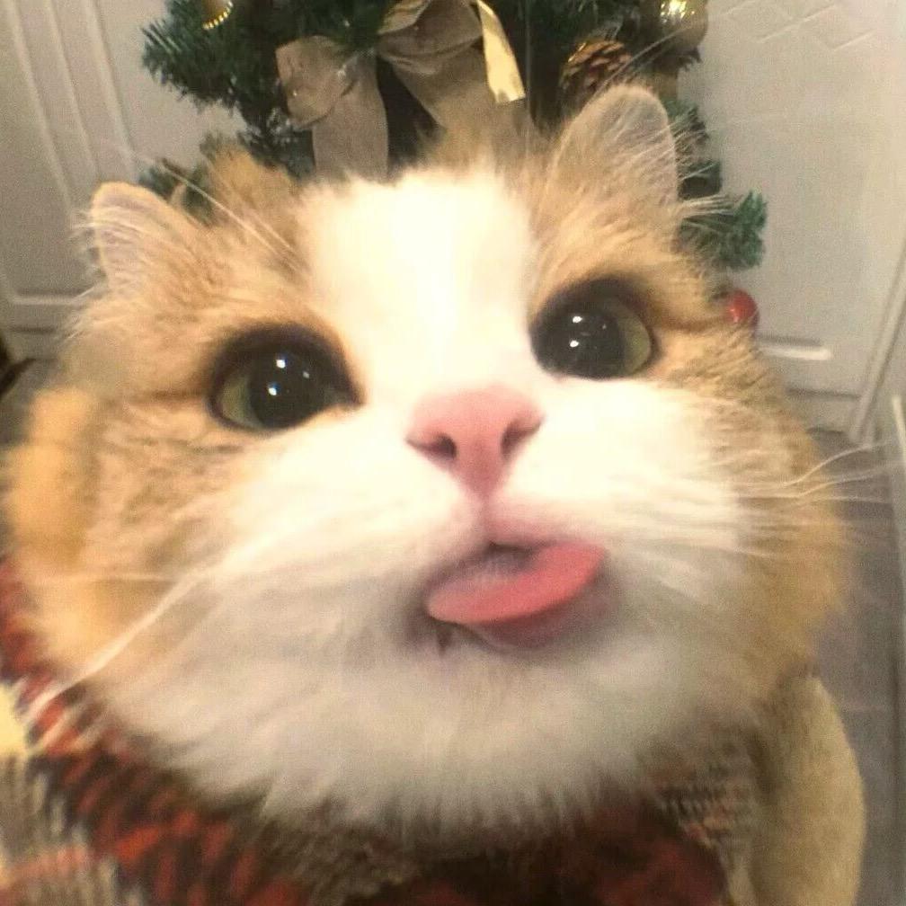 江泽