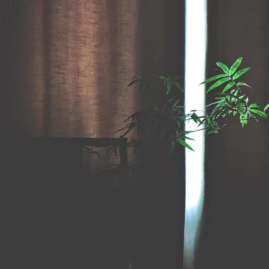 杺齋