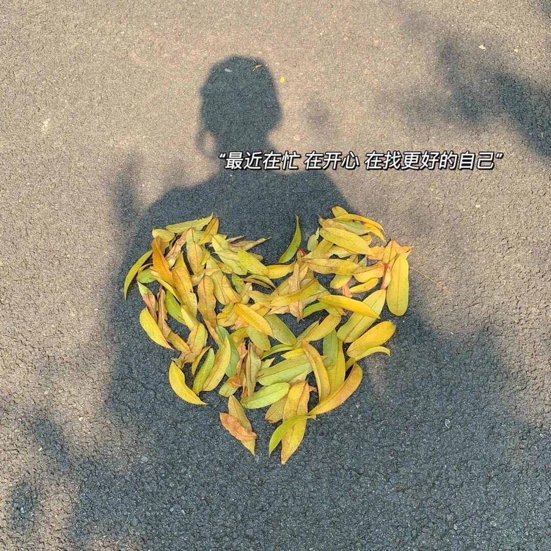 ☼☽ 执手温酒🎀