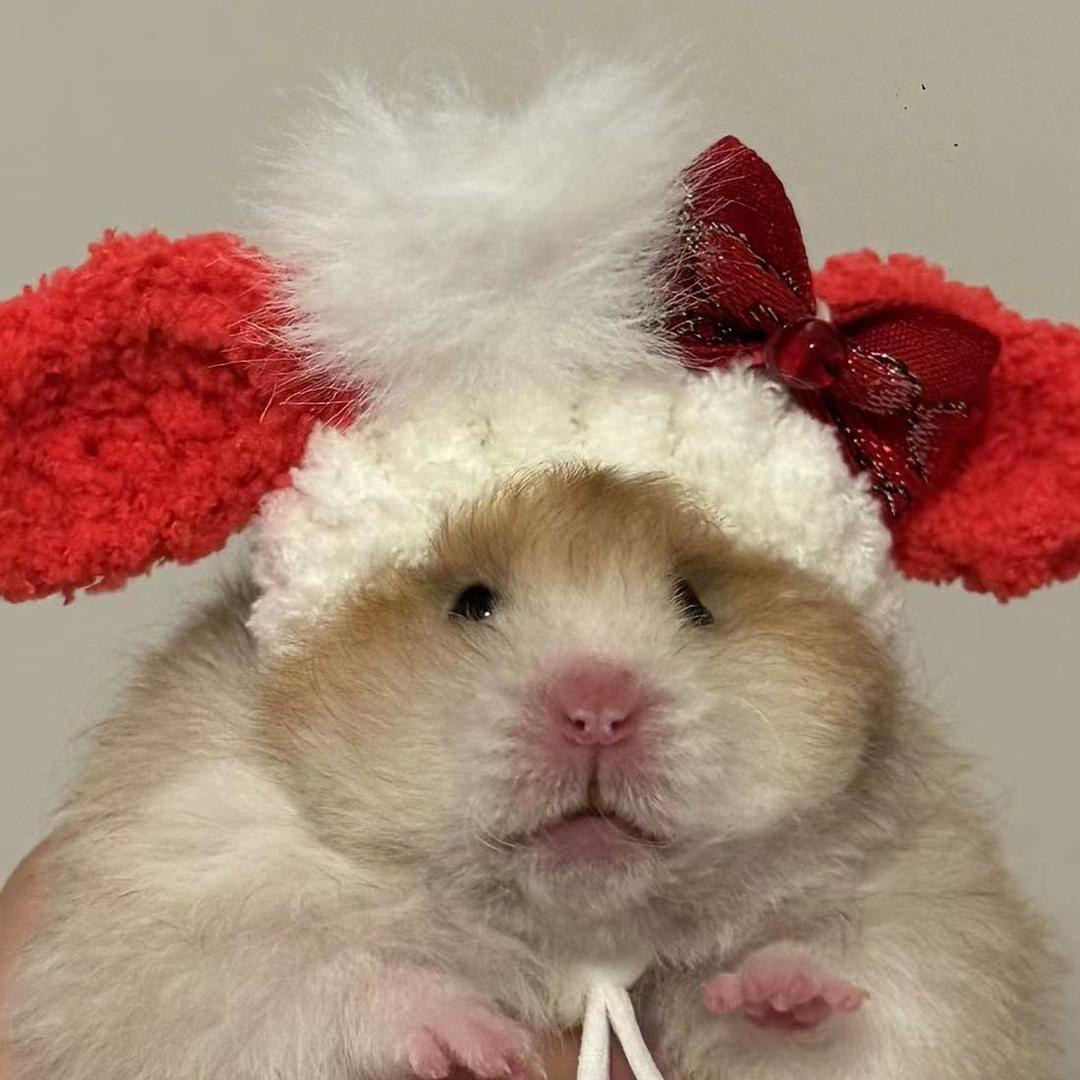 小丸子熊舍工作室