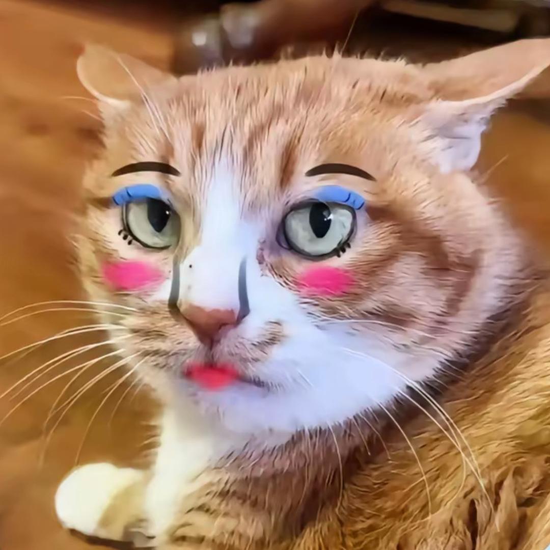 江老板