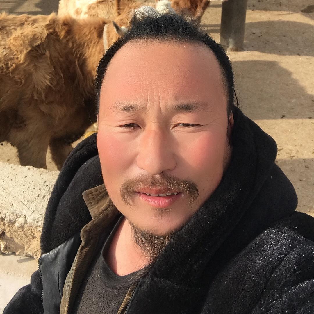 老茂果蔬代收