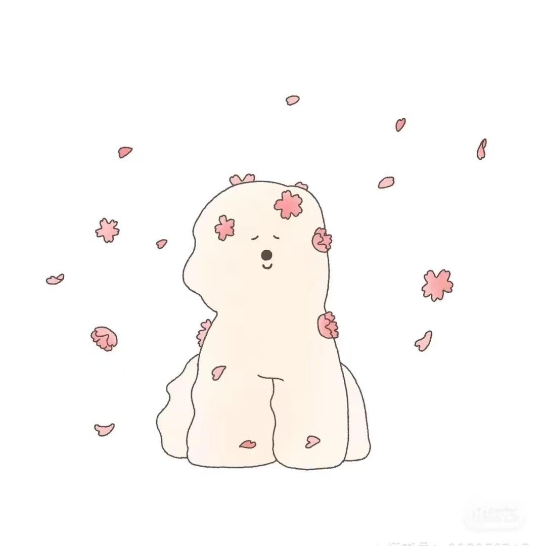 养猪倪倪