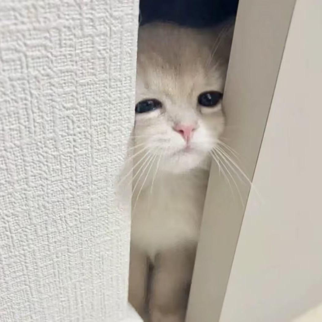 不眠岛