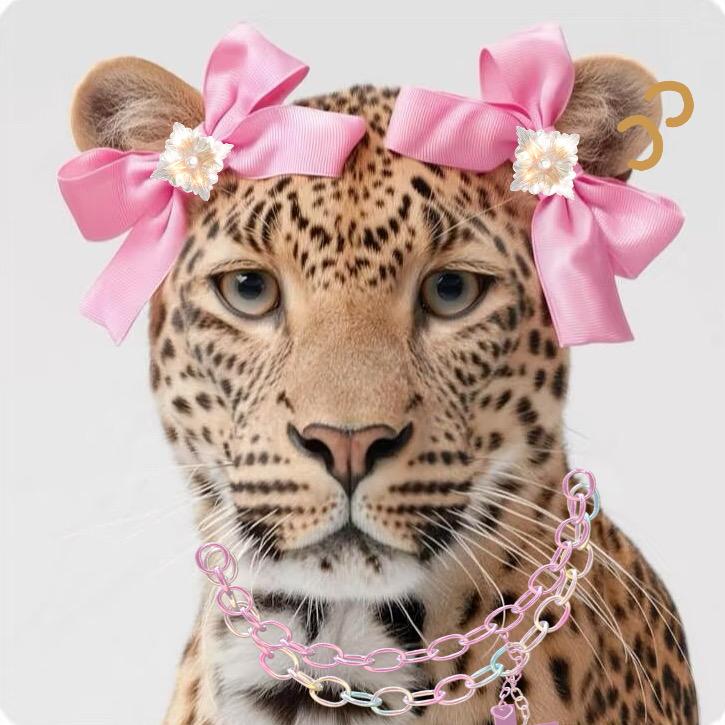 YuTing-羽婷主理人