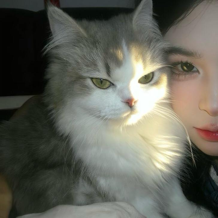 把肉给兜兜