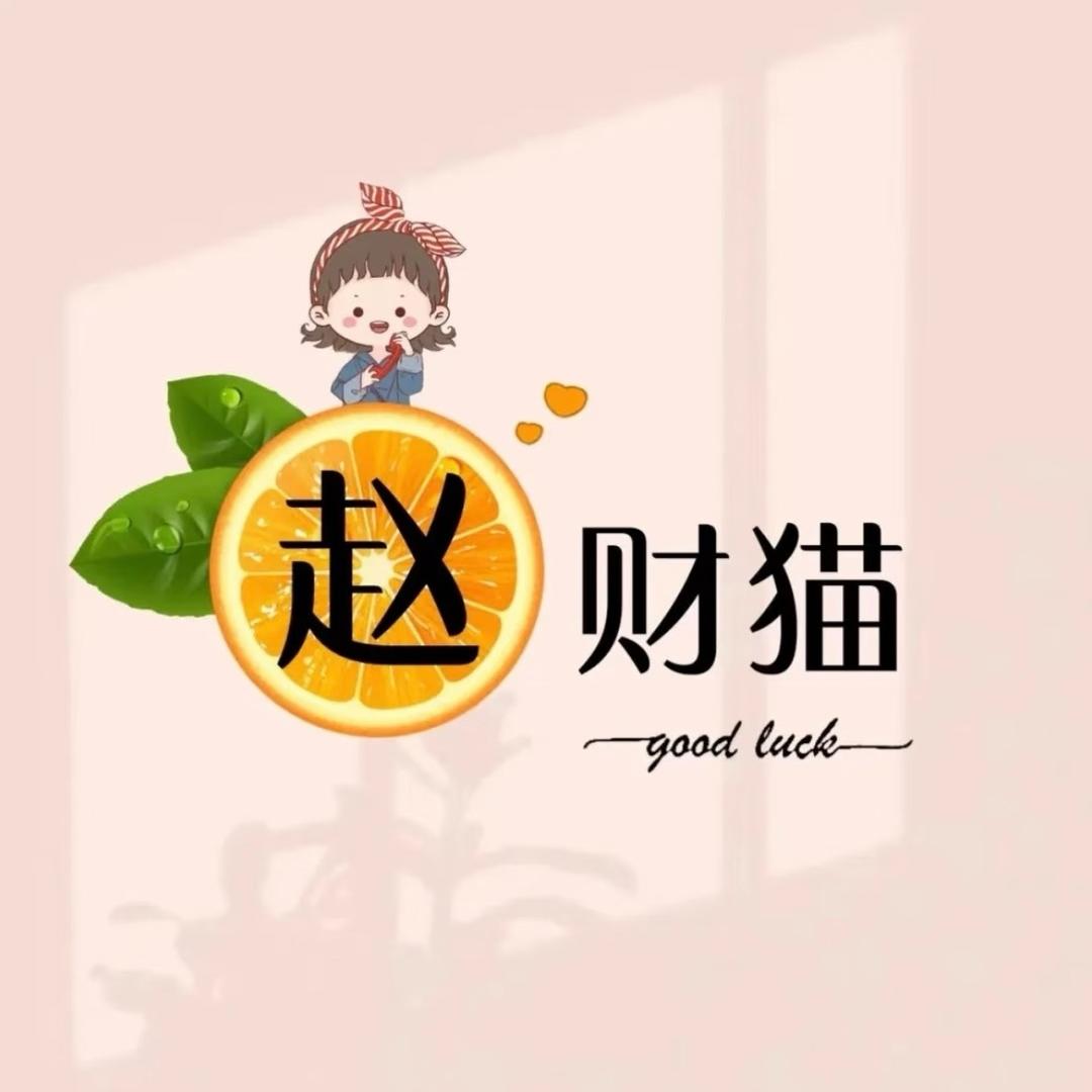 赵财猫