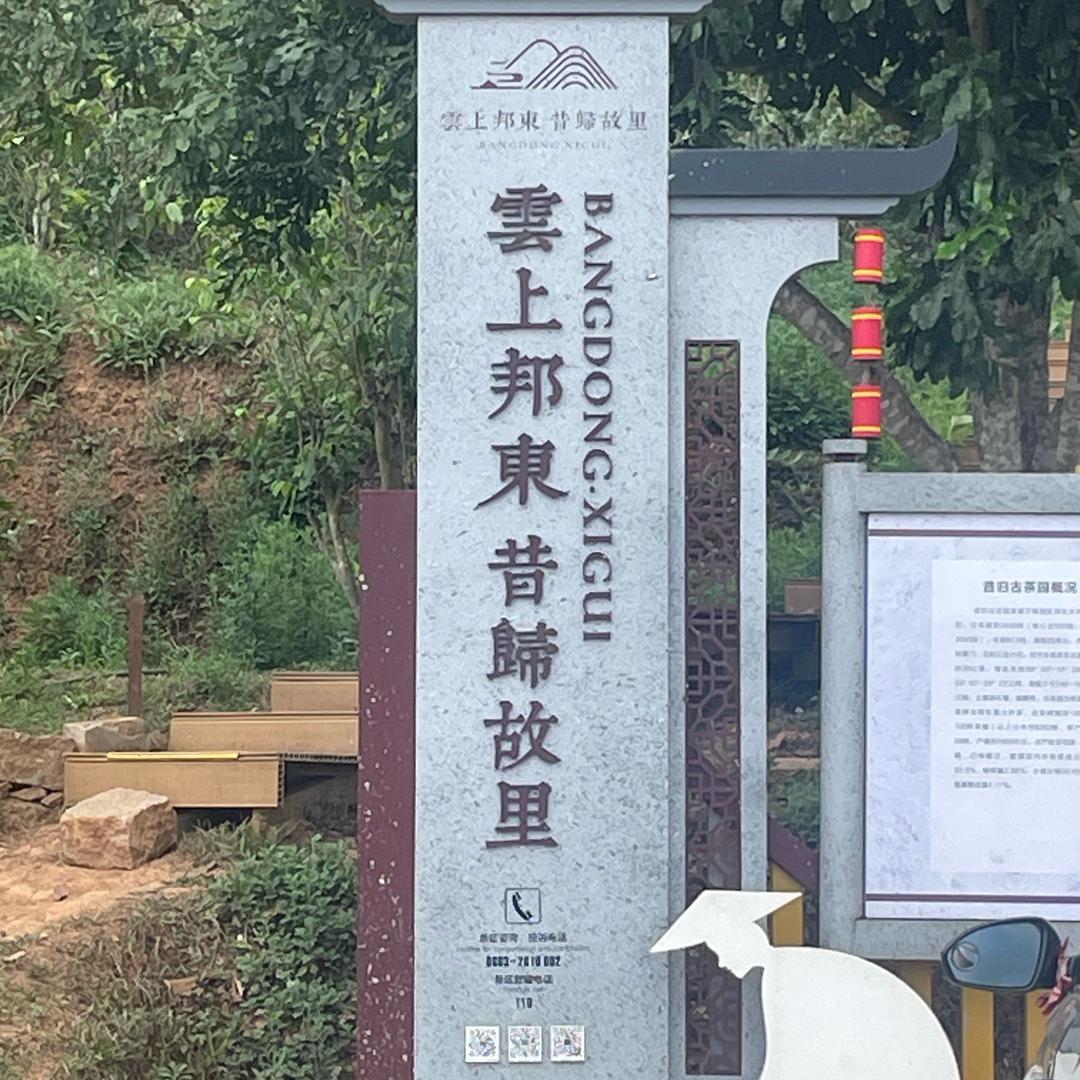 昔归茶农大林