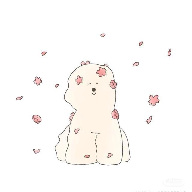 iiio