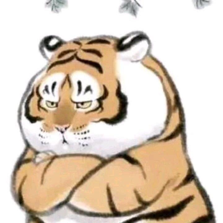 皮皮妍