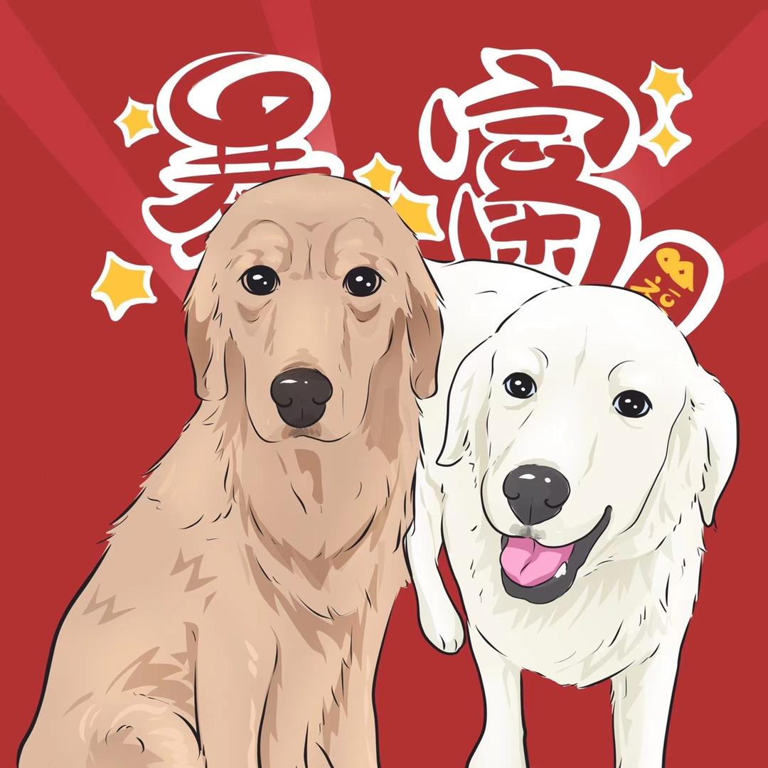狗哈哈深夜食堂