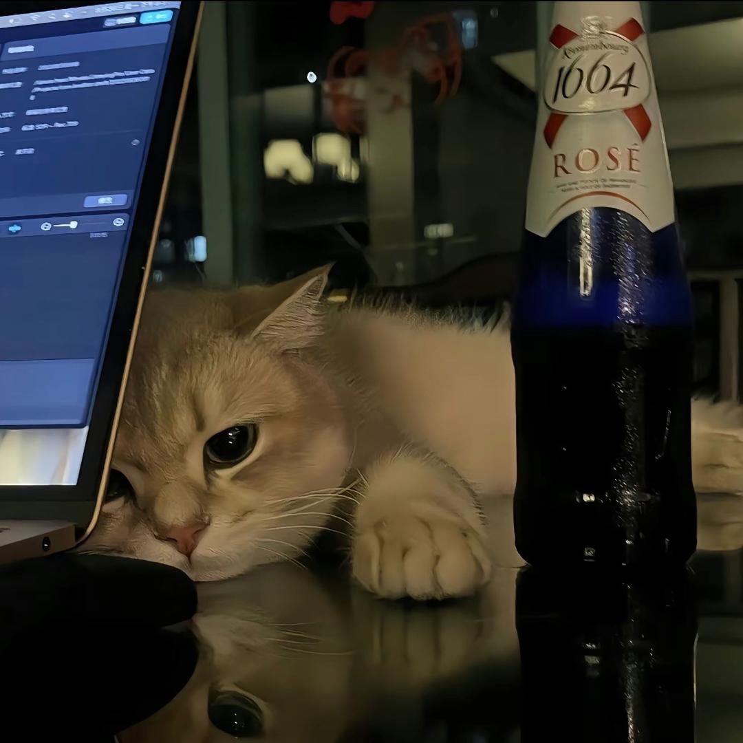 天霸林二狗（助理）