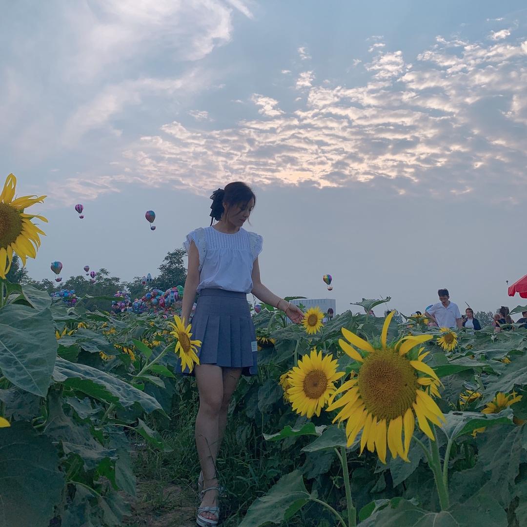 宋你一朵小红花🌹