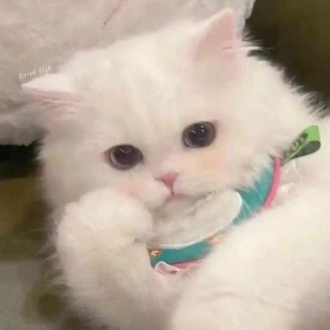 洺美百货