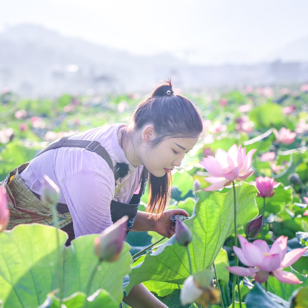 虔城小花