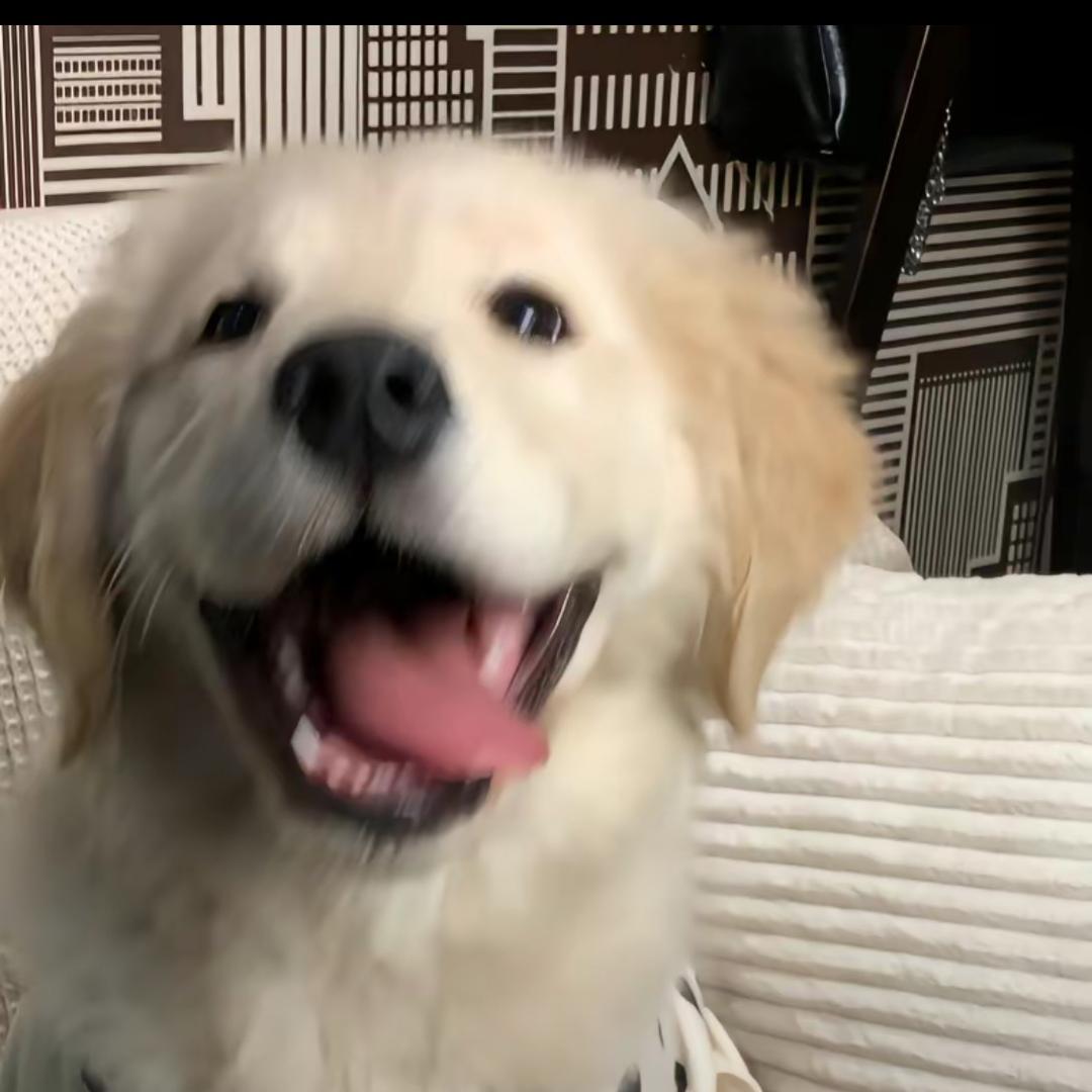 🌈一帆风顺