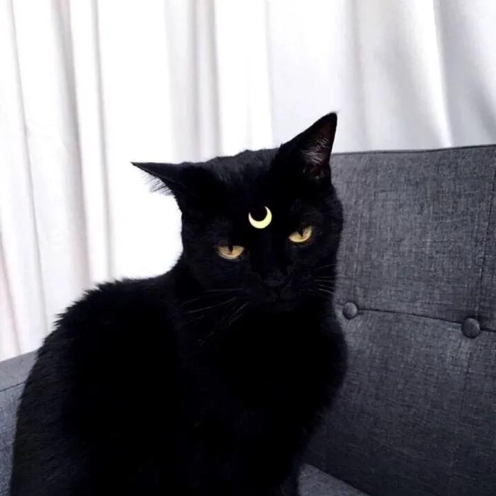 大雾